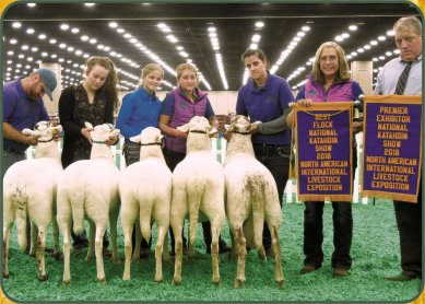 2018 NAILE Premier Exhibitor, Best Flock, Best 4 Head - Salmon Run Farms