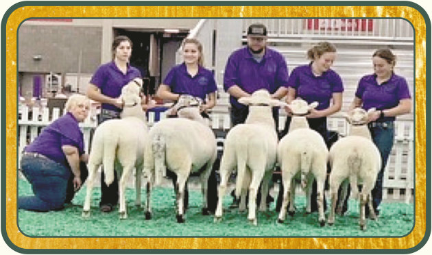 2021 NAILE National Best Flock & National Premier Exhibitor - Salmon Run Farms