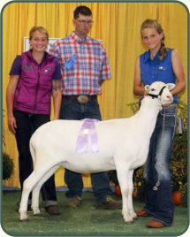 Junior Exhibitor Reserve Champion Ewe, Salmon Run Farms