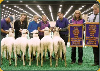 2018 NAILE Premier Exhibitor, Best Flock, Best 4 Head - Salmon Run Farms