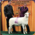 DOC BL2842 Res. Senior Champion Ewe - Salmon Run Farms