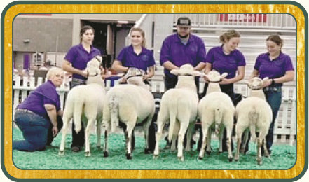 2021 NAILE National Best Flock & National Premier Exhibitor - Salmon Run Farms